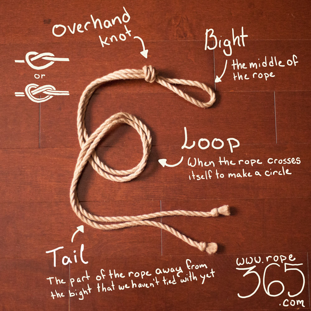 vocabulary-rope-365