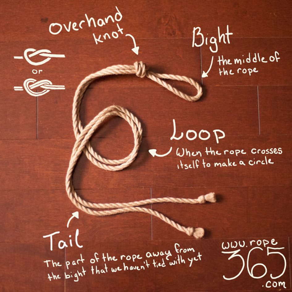 Vocabulary Rope 365