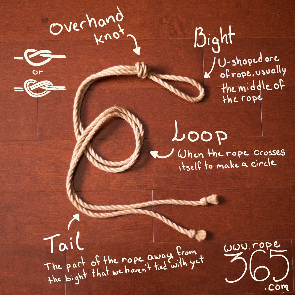 Vocabulary - Rope 365