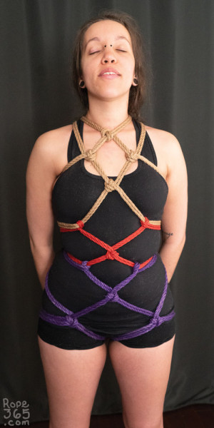 X Diamond Chest Harness