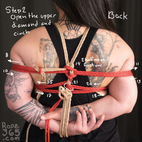 Open Diamond Box Tie