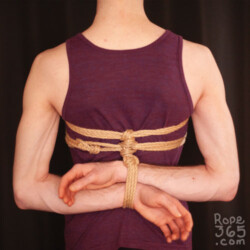 Hybrid Box Tie with Chest Wraps